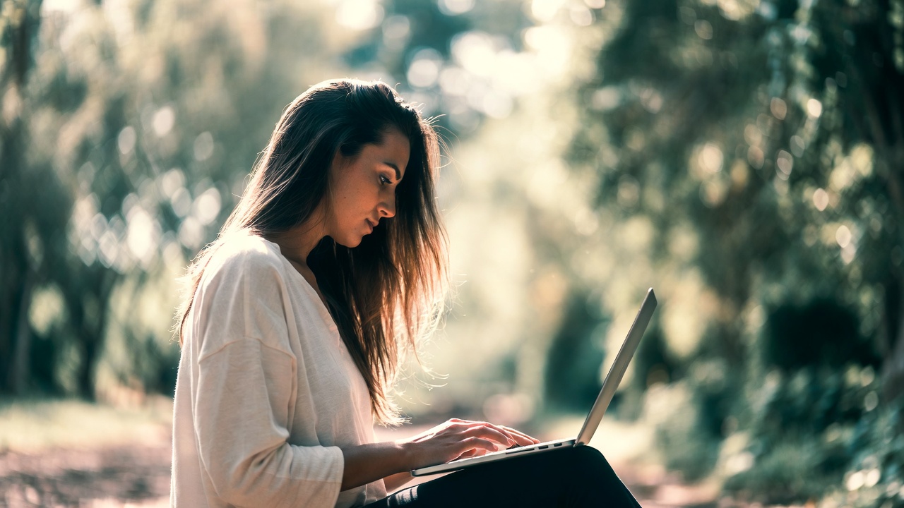 Price History Charts Explained: How to Read Them Like a Pro